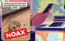 Daftar Video Hoaks Banjir Sumatera, Begini Faktanya