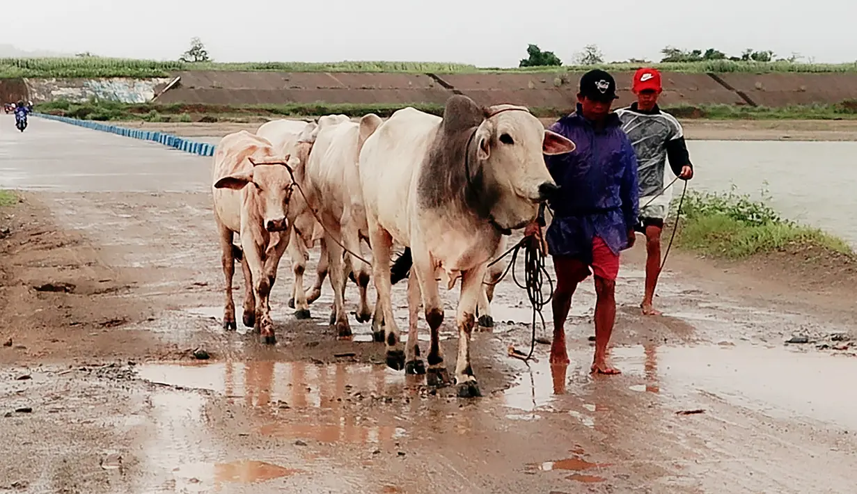 Topan Doksuri membawa kecepatan angin maksimum 175 kilometer (109 mil) per jam saat melayang di atas perairan di sekitar Pulau Fuga, di lepas pantai utara pulau utama Luzon, demikian ungkap badan cuaca pemerintah dalam pembaruan terbarunya pada pukul 00.00 GMT. (STR / AFP)