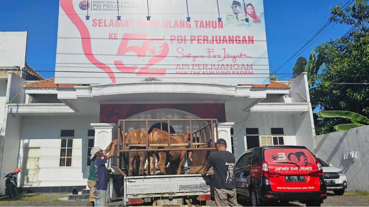 Wujud Berbagi di Hari Raya Iduladha, PDI Perjuangan Jatim Salurkan 403 Sapi Kurban