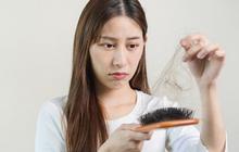 6 Tips Agar Rambut Tidak Rontok Berlebihan, Ayo Ladies Selamatkan Mahkotamu!