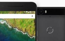 Baru dirilis, Nexus 6P sudah sabet gelar kamera terbaik