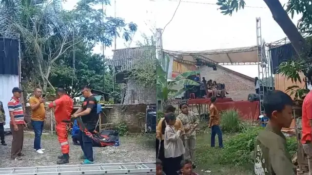 Pesta Pernikahan di Lampung Selatan koloni tawon vespa