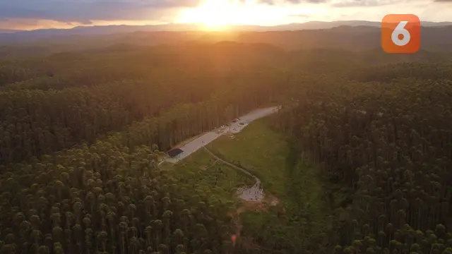 Waspada Tertipu Paket Wisata Berbayar, Kunjungan ke IKN Gratis!