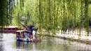 Seorang warga menaiki perahu saat menikmati pemandangan musim semi di sepanjang parit di Jinan, Provinsi Shandong, China timur. (Xinhua/Wang Kai)