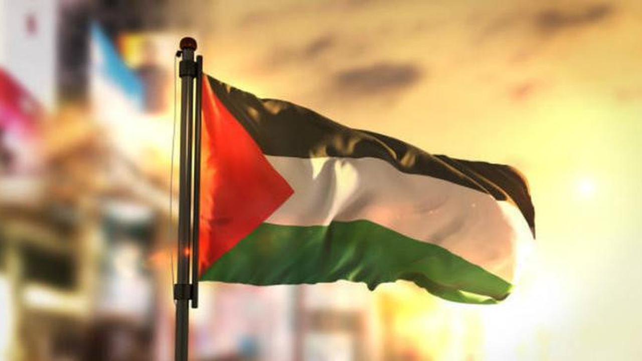 Ilustrasi bendera Palestina.