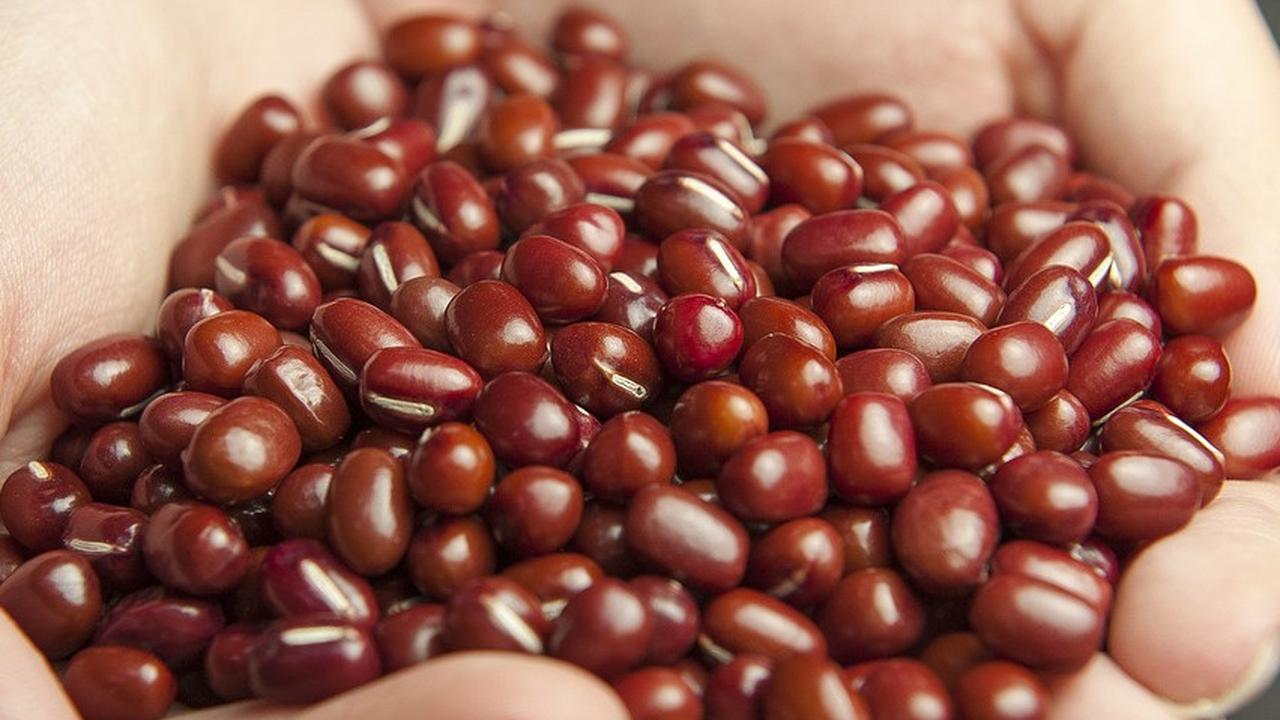 8 Manfaat Kacang Merah untuk Bayi, Menyehatkan Saluran Pencernaan.