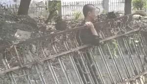 Bukan Curi Barang dalam Rumah, Maling di Lampung Malah Pilih Angkut Pagar