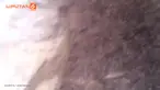Setelah berdiri di bebatuan, ribuan serangga ini malah menghinggapi seluruh tubuh pria Australia ini.