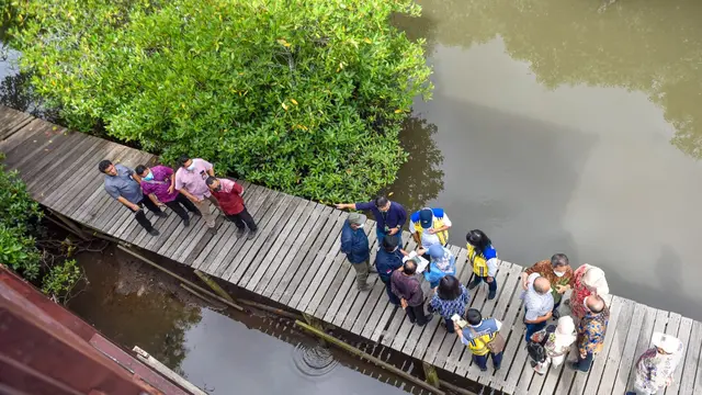 Kesiapan Showcase Konservasi Mangrove G20 2022 di Bali