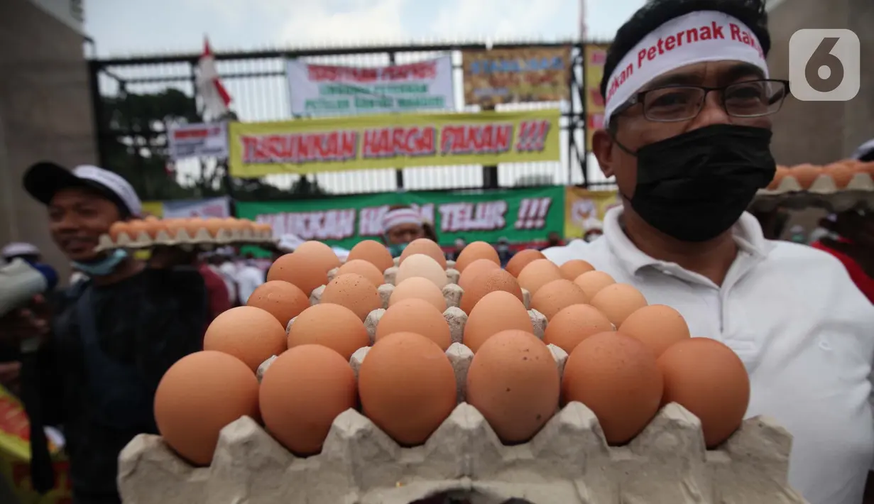 Peternak ayam membawa spanduk dan telur di berunjuk rasa di depan gedung MPR/DPR/DPD, Senayan, Jakarta, Senin (11/10/2021). Harga telur ditingkat peternak mencapai Rp 12.500 sampai Rp 13.500 per Kilogram, atau jauh dibawah HPP telur yakni berkisar di harga Rp 21.500 per (Liputan6.com/Johan Tallo)