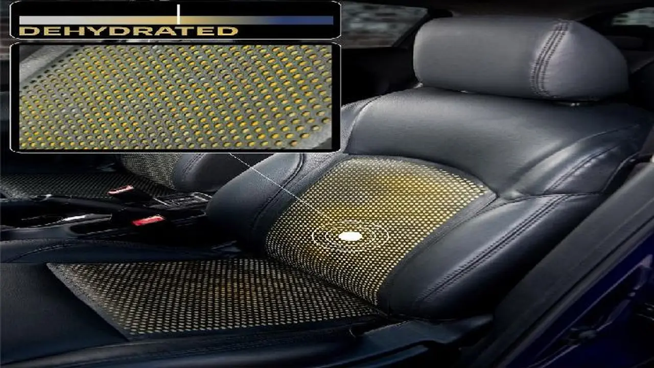 Nissan SOAK (Foto:Autoexpress)