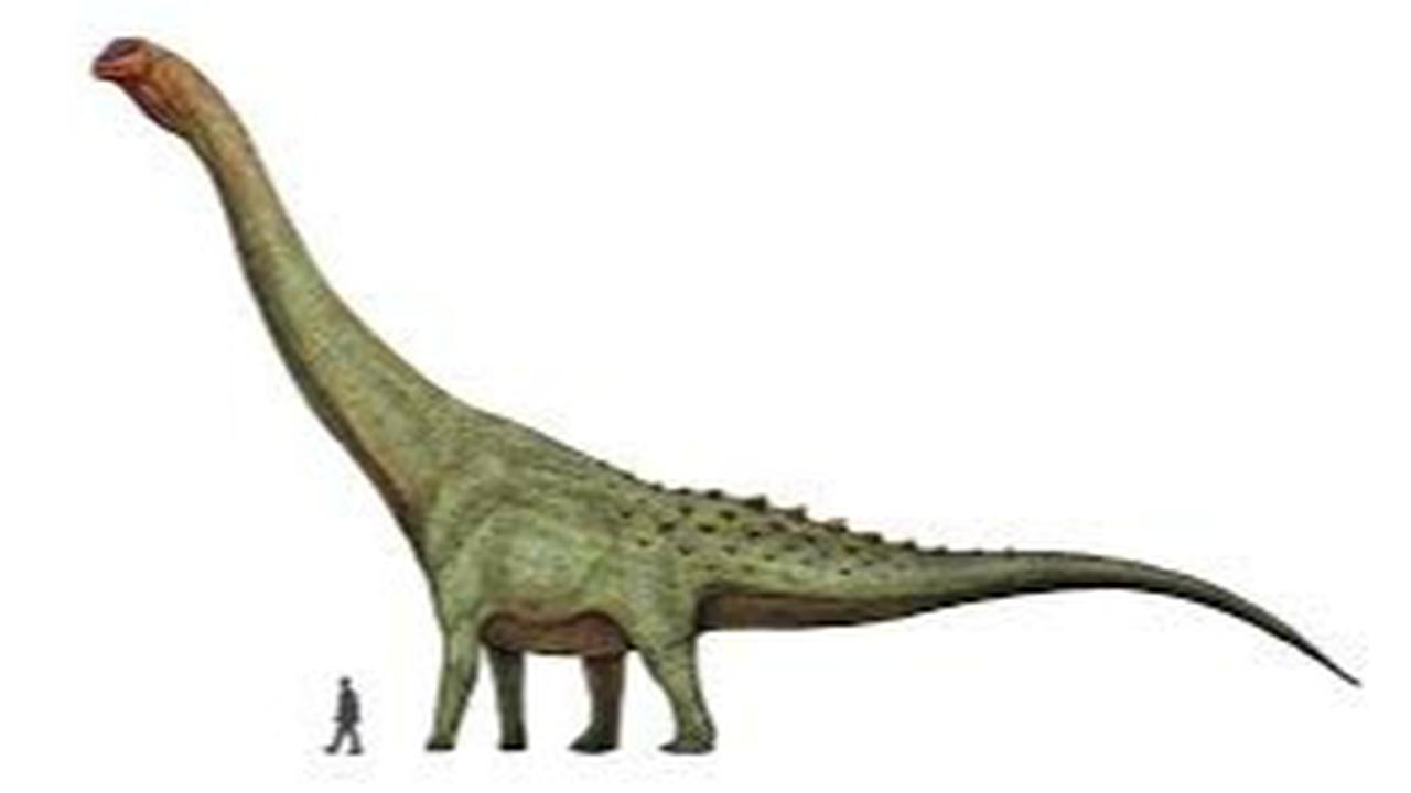 8 Titanosaurus Terbesar: Mengungkap Rahasia Raksasa Zaman Kapur