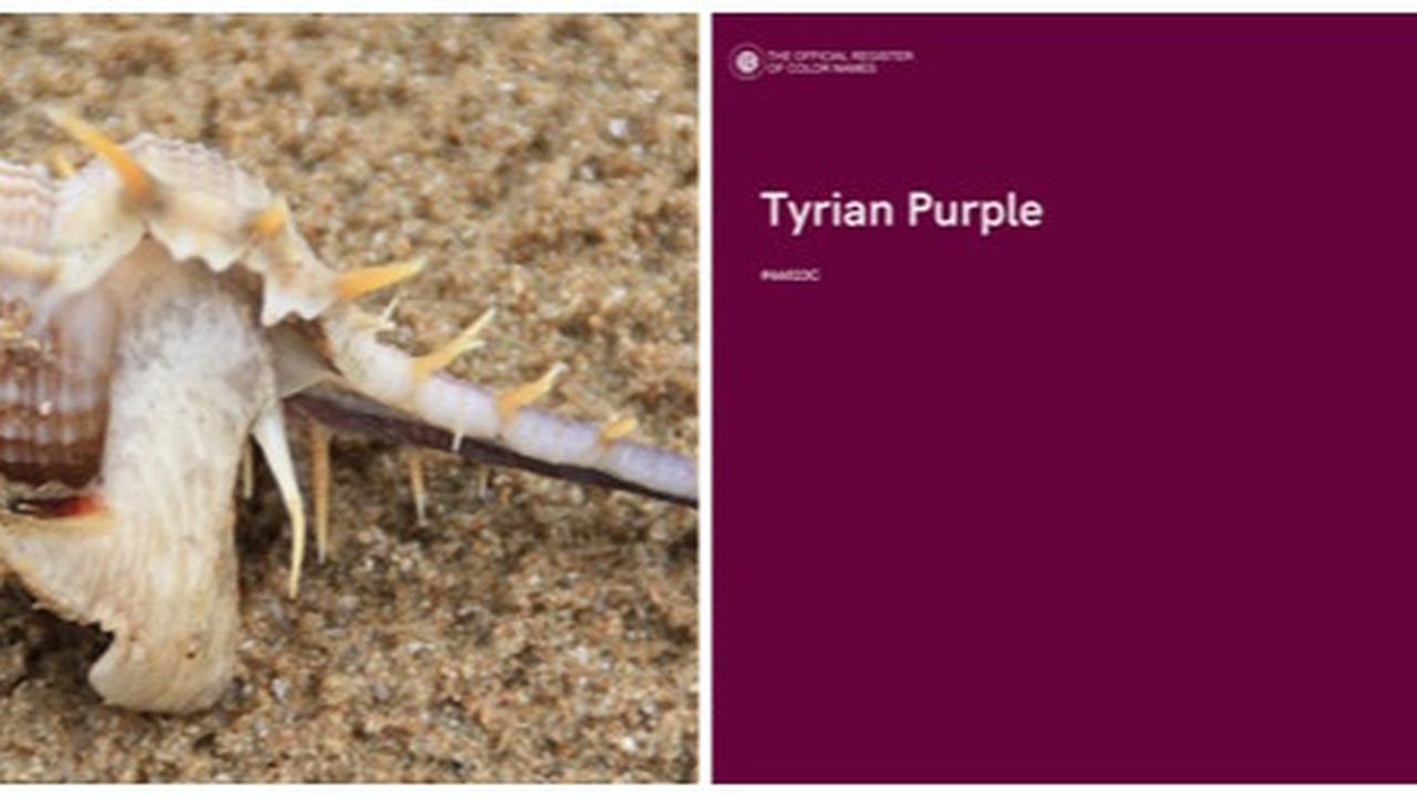 Tyrian Purple