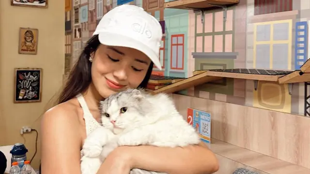 Potret Beby Tsabina Main Bareng Kucing di Cat Cafe Ini Bikin Gemas