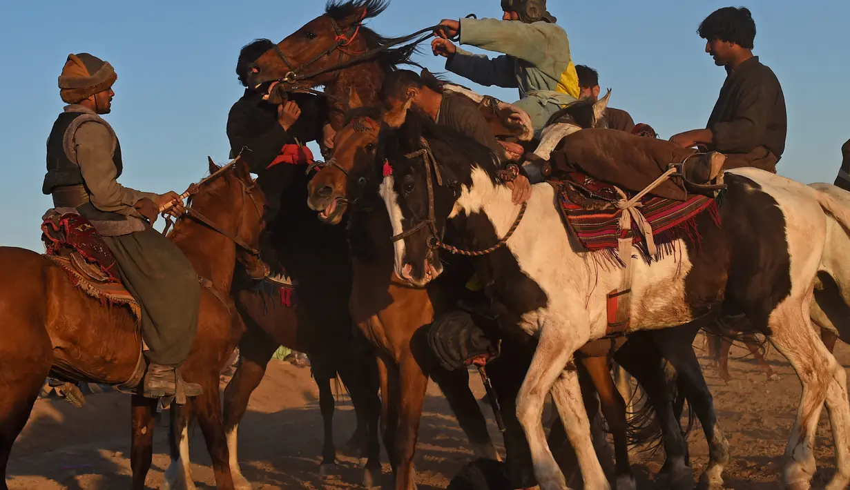 Penunggang kuda Afghanistan bersaing memperebutkan bangkai hewan dalam pertandingan Buzkashi di Herat, Afghanistan (4/2/2022). Buzkashi merupakan tradisi yang dilakukan oleh warga Afghanistan yang setiap pesertanya harus menunggang kuda. (AFP/Wakil Kohsar)