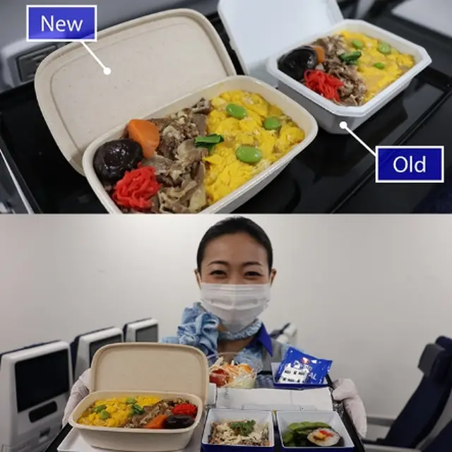Maskapai All Nippon Airways Siap Pakai Tempat Makan Bebas Plastik
