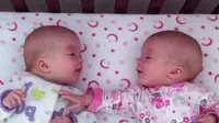 Lucunya, bayi perempuan cantik kembar identik asyik mengobrol sambil tertawa. Kira-kira apa yang mereka bicarakan ya ?