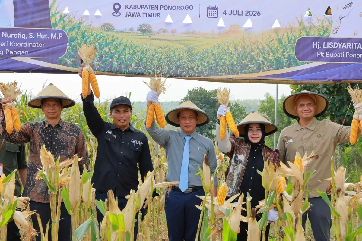 Wakil Menteri Koordinator Bidang Pangan, Hanif Faisol Nurofiq menghadiri langsung panen raya jagung yang digelar Bayer Indonesia bersama Kementerian Koordinator Bidang Pangan di Desa Pijeran, Kecamatan Siman, Ponorogo, Jawa Timur (Istimewa)