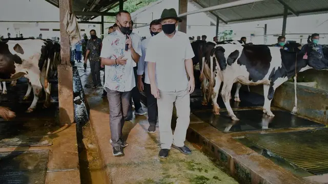 Menteri Koperasi dan UKM Teten Masduki