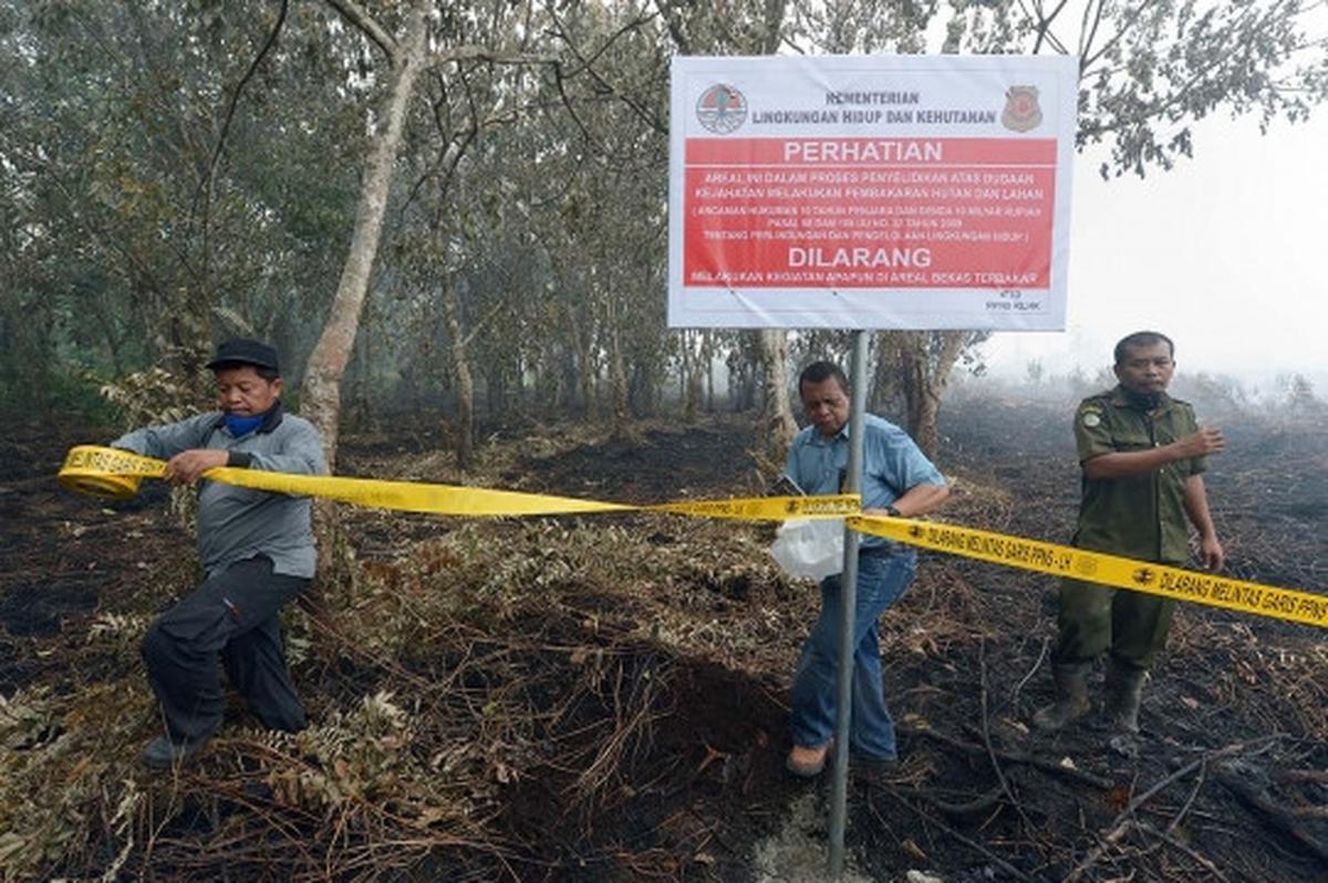 Ini lahan di Riau yang diduga sengaja dibakar