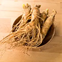 ilustrasi ginseng/leungchopan/Shutterstock