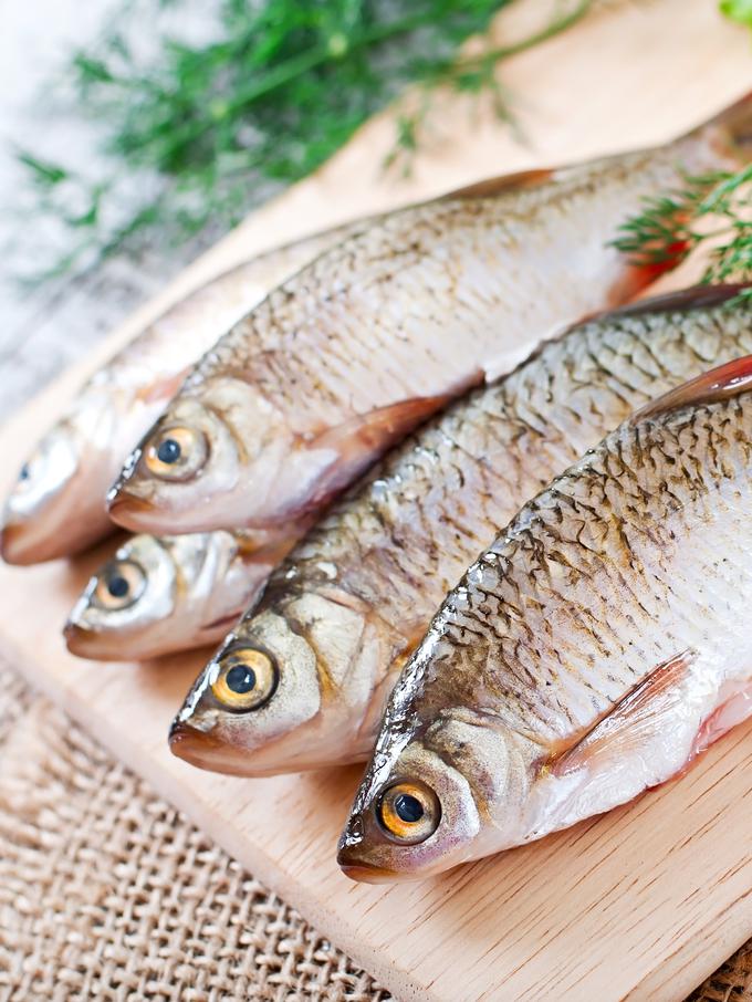 Cara Membersihkan Sisik  Ikan  dengan Mudah Lifestyle 