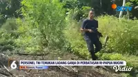 Tim Gabungan Bea Cukai, BNN, dan TNI Sita 50 Kg Ganja di Perbatasan Papua Nugini