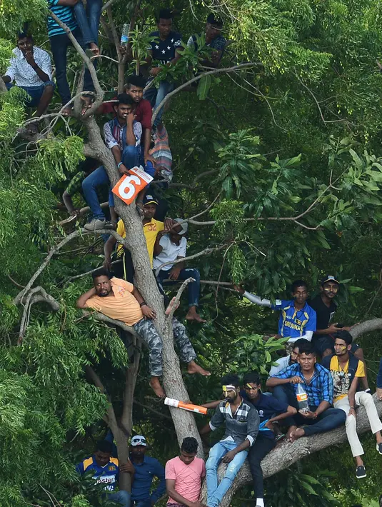 Suporter kriket Sri Lanka menonton pertandingan kriket One Day International (ODI) pertama antara Sri Lanka dan India dari atas sebuah pohon di Stadion Kriket Internasional Rangiri Dambulla di Dambulla (20/8). (AFP Photo/Lakruwan Wanniarachchi)
