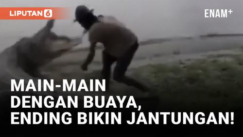 VIDEO: Edan! Pria Palu Nyaris Diterkam saat Elus Buaya