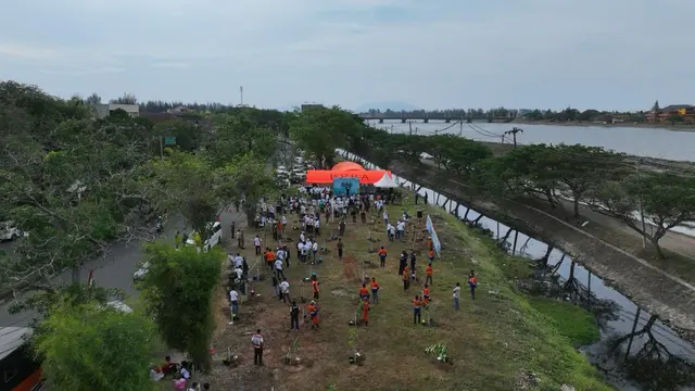 Meredam Efek Bencana Alam Lewat Menanam Pohon, dari Aceh hingga Bekasi