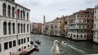 Seekor burung camar berdiri di Jembatan Rialto di Venesia, pada 21 Mei 2021. (Marco Bertorello / AFP)