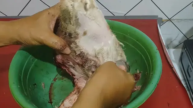 Tanpa Dibakar, Begini Cara Bersihkan Kepala Kambing Sebelum Dimasak