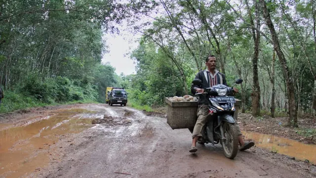 Kementrian PUPR Tinjau Lokasi Foto Mandi Lumpur di Sumsel