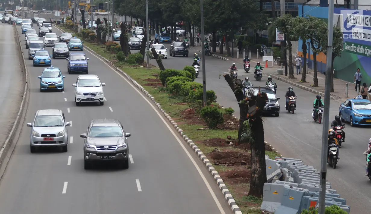 Kendaraan melintas di samping-pohon-pohon yang telah dipangkas di kawasan Sudirman, Jakarta, Jumat (9/3). Jalur hijau yang menjadi pembatas antara jalur cepat dan jalur lambat akan dihilangkan. (Liputan6.com/Arya Manggala)