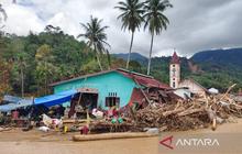 Dampak Banjir Huta Nabolon: Kebun Kakao dan Sawah Siap Panen Rusak Parah, Petani Merugi