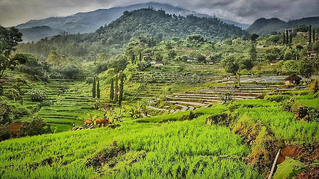 Wisata Pacet Mojokerto