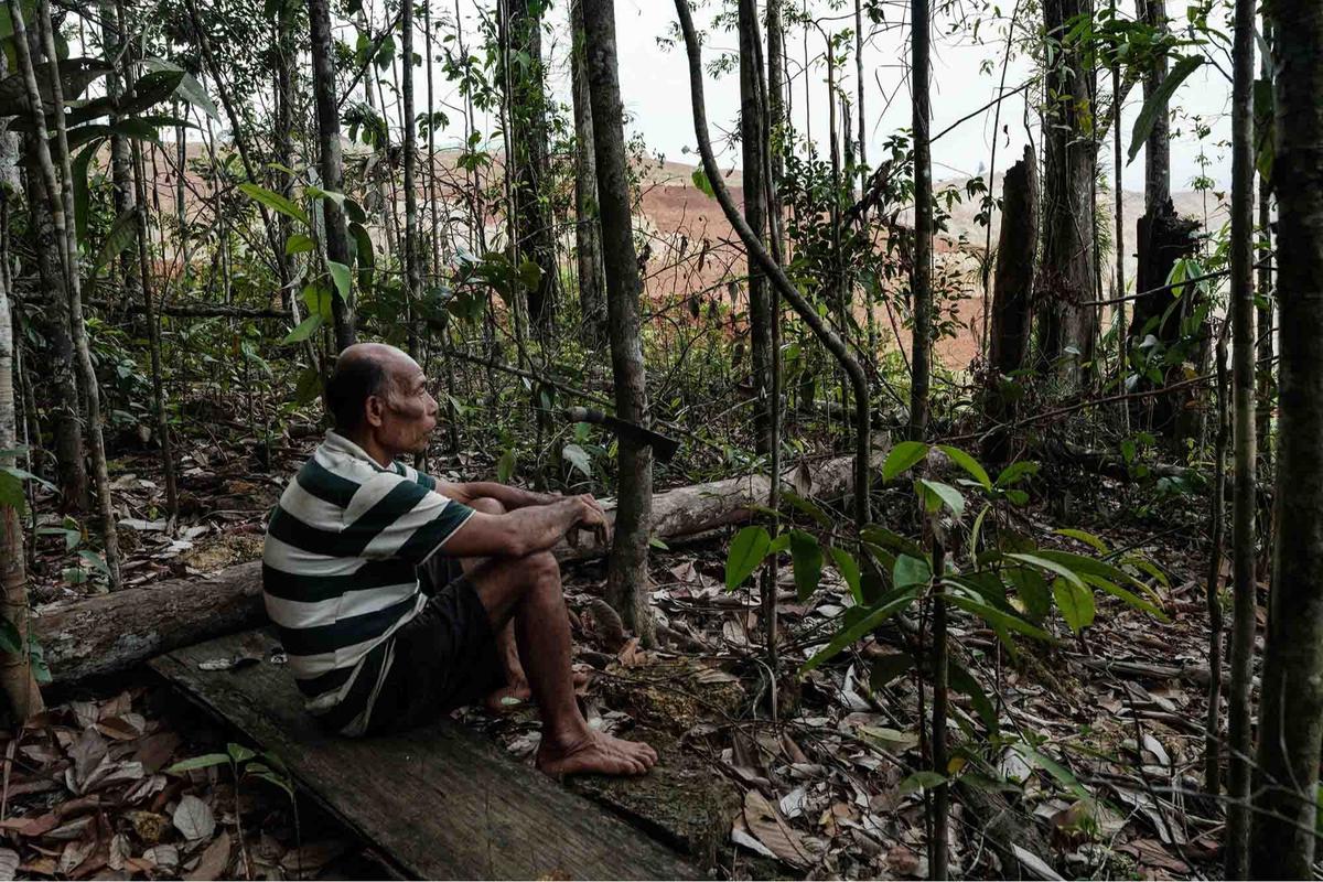 FOTO: Eksploitasi Nikel Menjadi Ancaman Keberlangsungan Hutan Masyarakat Adat di Halmahera Tengah