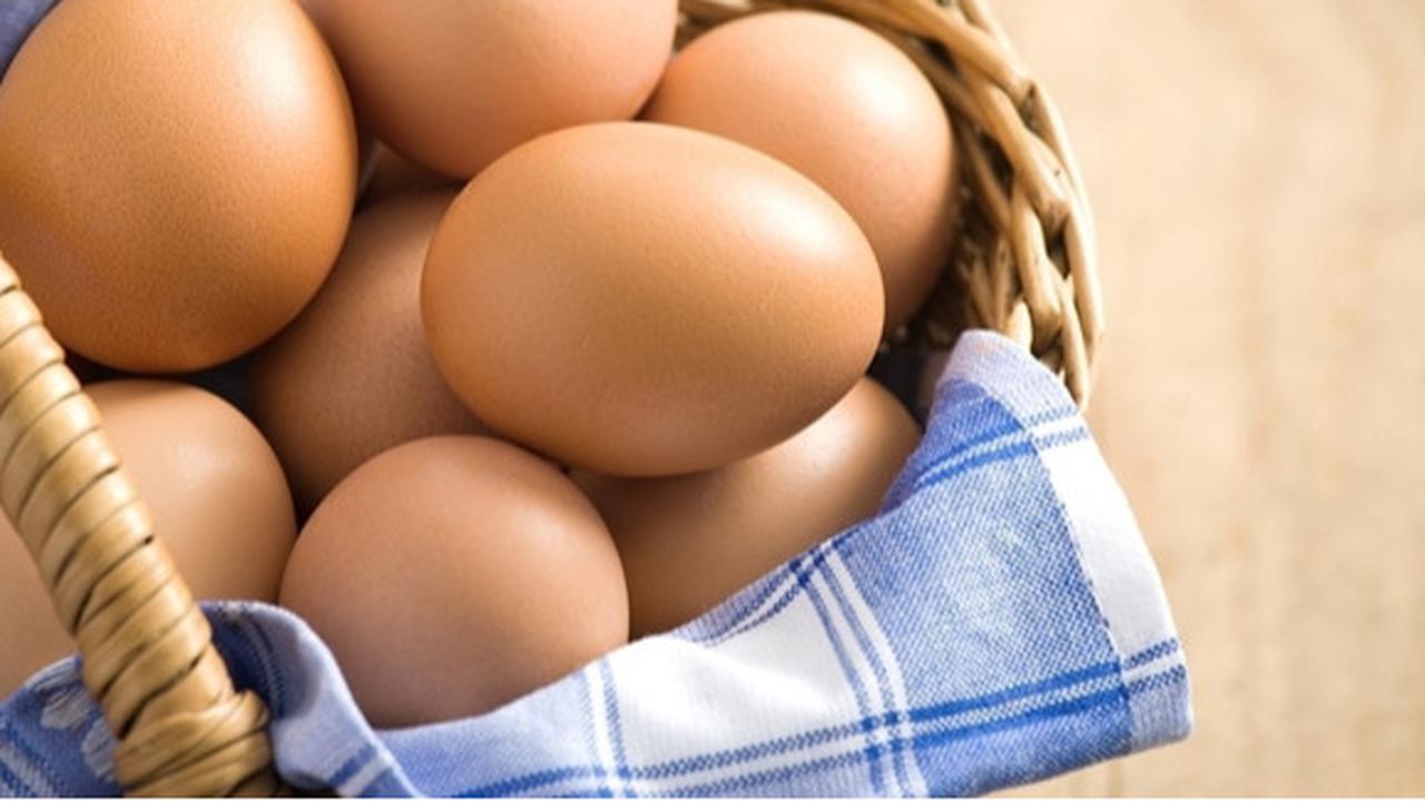 Begini Cara Pemerintah Turunkan Harga Telur Ayam Jelang Tahun Baru