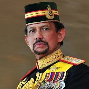 Hassanal Bolkiah adalah sultan ke-29, Yang Di-Pertuan Brunei Darussalam, dan Perdana Menteri pertama Brunei Darussalam.