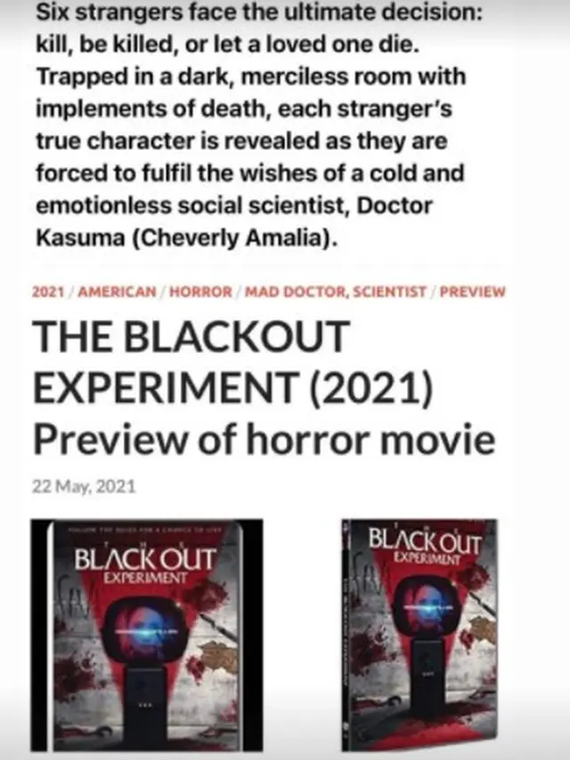 Film The Blackout Experiment 2021