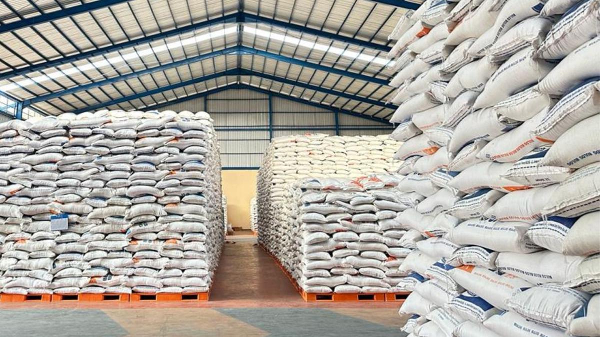 Pemerintah Godok Rencana Penetapan Beras Satu Harga, Ini Tujuannya