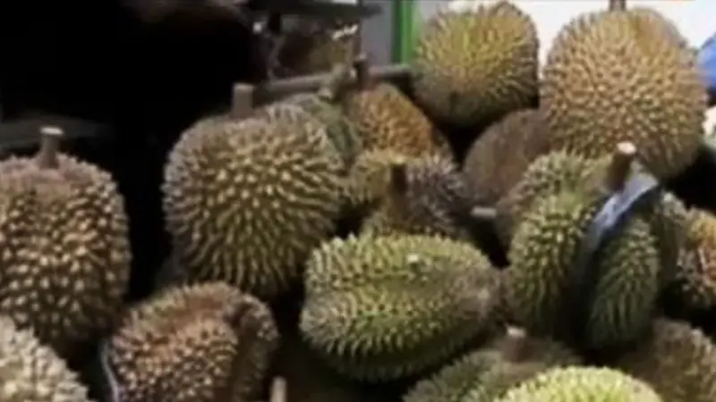 VIDEO: Lezatnya Durian Petruk hingga Montong di Rumah Durian