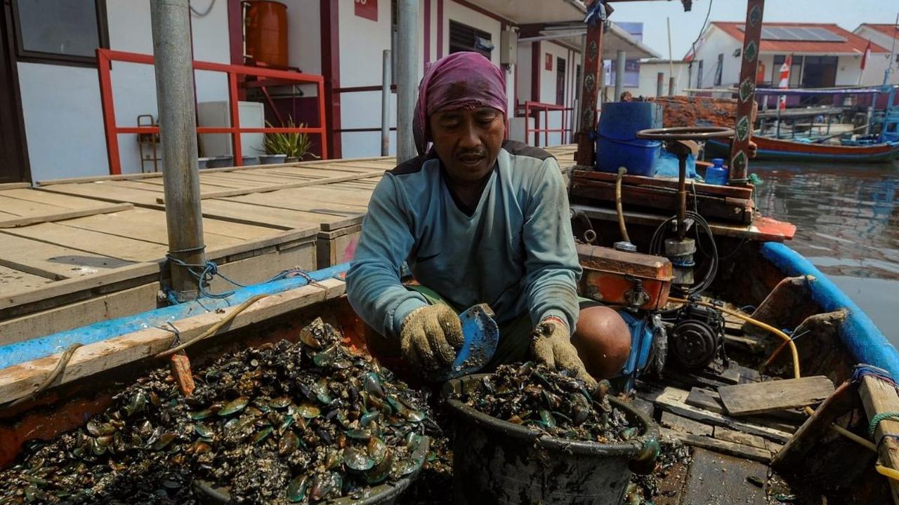 Dengan adanya inisiatif seperti ini, diharapkan kesejahteraan para nelayan di seluruh Indonesia dapat terus meningkat, sehingga mereka dapat terus berkontribusi pada perekonomian negara tanpa harus khawatir akan keselamatan dan kenyamanan tempat tinggal m