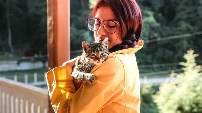 Penanganan untuk Kucing Kurus di Rumah