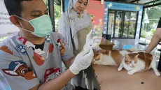 Seorang dokter hewan bersiap menyuntikkan vaksin rabies pada seekor kucing milik warga di Ruang Publik Terpadu Ramah Anak (RPTRA) Manggarai, Jakarta, Senin (14/10/2025). (merdeka.com/Arie Basuki)