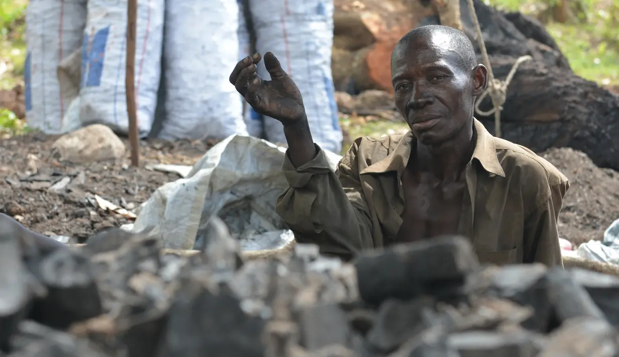 Jean Ronsale beristirahat saat mengumpulkan arang di pinggiran dari Les Cayes, Haiti, (23/1). Menteri Lingkungan Hidup Haiti akan membuat peraturan jaringan "hutan energi" yang menghasilkan kayu untuk arang dan kayu bakar. (AP/David McFadden)
