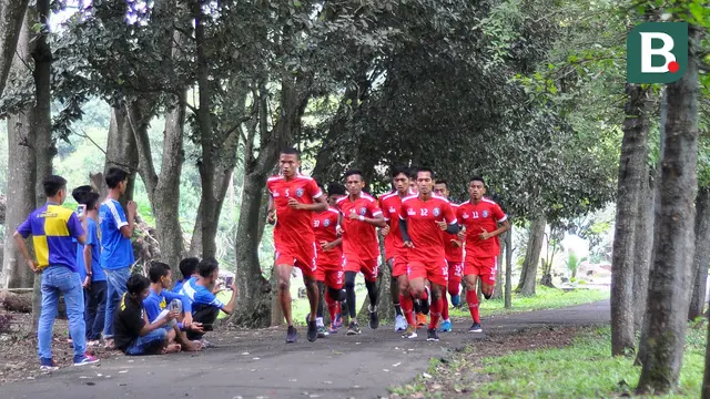Arema