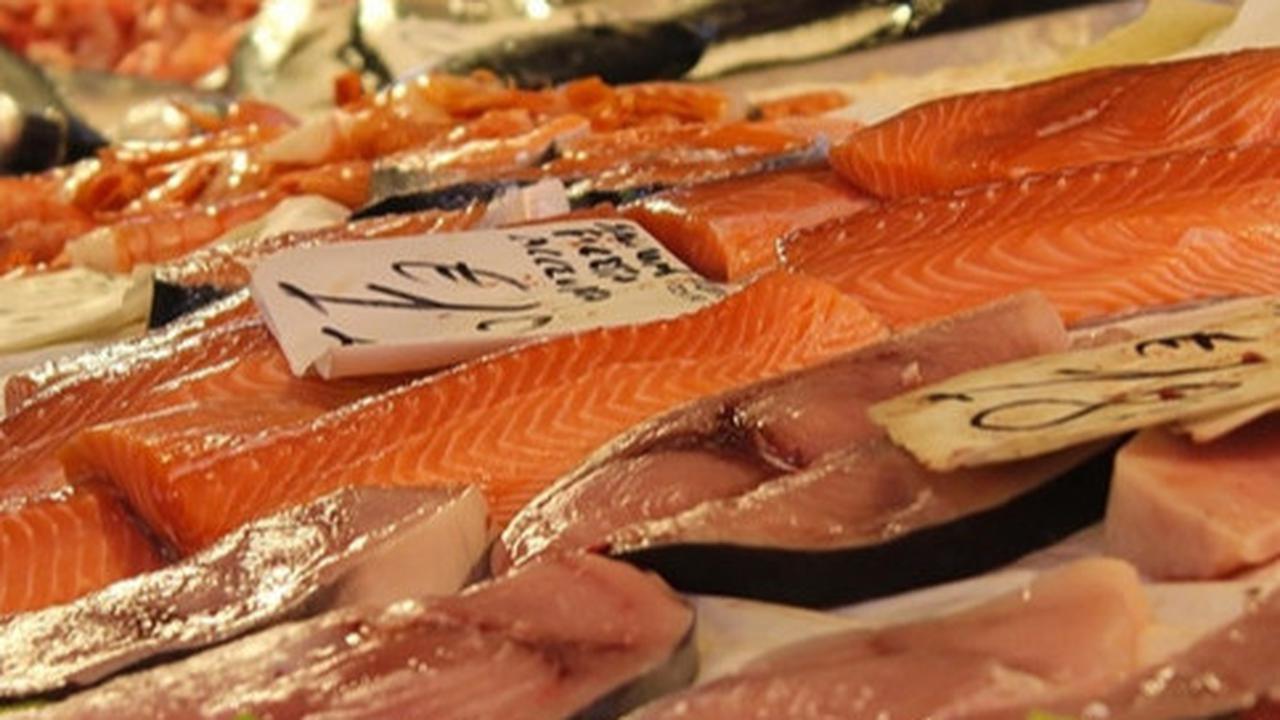 Ikan tuna