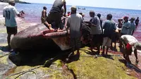 Foto: Nelayan Lamalera usai melakukan perburuan ikan Paus (Liputan6.com/Ola Keda)