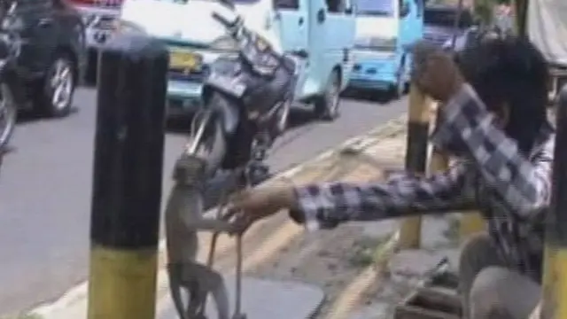 Dilarang di Jakarta, Topeng Monyet Hijrah ke Daerah